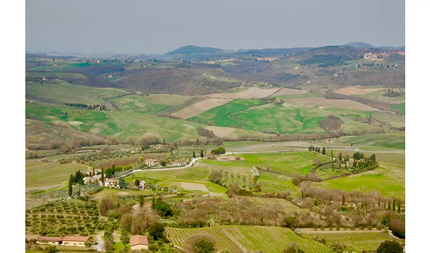 Gita in Toscana da Roma con Pranzo Incluso