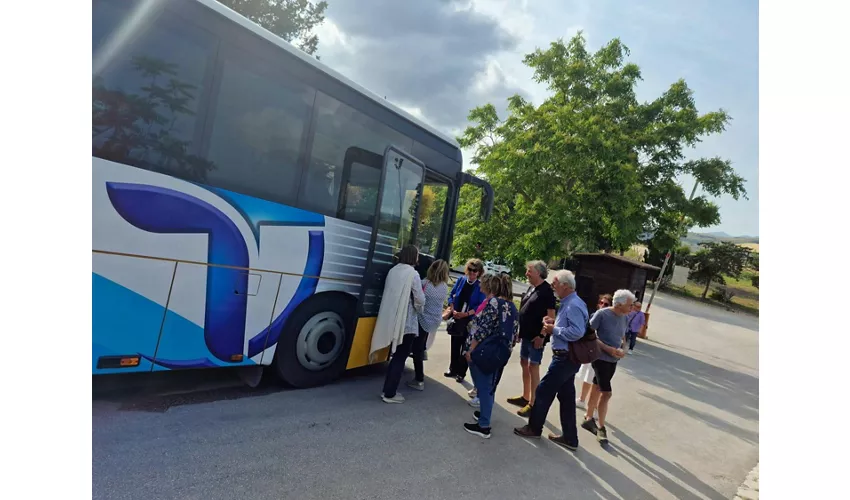 Entrada al Parque Arqueológico de Segesta + Servicio de transporte ida y vuelta