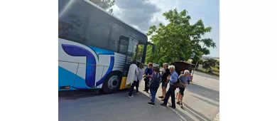 Entrada al Parque Arqueológico de Segesta + Servicio de transporte ida y vuelta