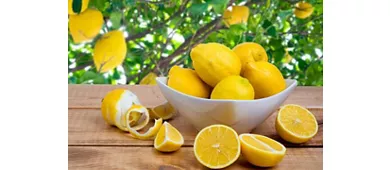 Roma: Clase de Elaboración de Limoncello + Degustación + Recogida