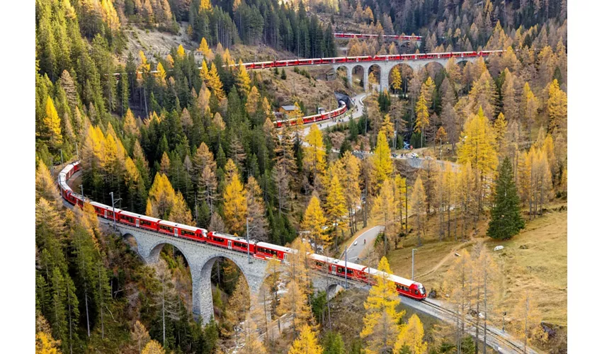 Trenino Rosso del Bernina e Treno dei Ghiacciai: Gita di un giorno da Milano