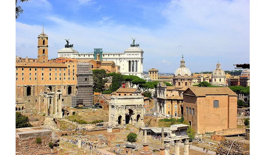 Colosseo, Arena, Foro Romano e Palatino + Tour in autobus