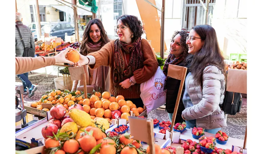 Venice: Cooking Class at Local Home + Market Tour