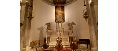 Venice Music Museum + Audio Guide