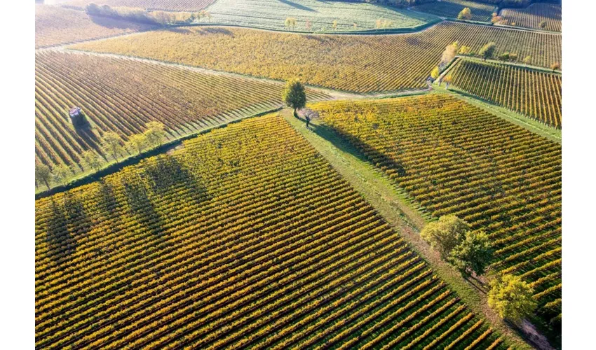 Lago d'Iseo e Franciacorta: tour guidato da Milano + degustazione di vini