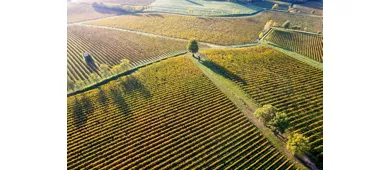 Lago d'Iseo e Franciacorta: tour guidato da Milano + degustazione di vini