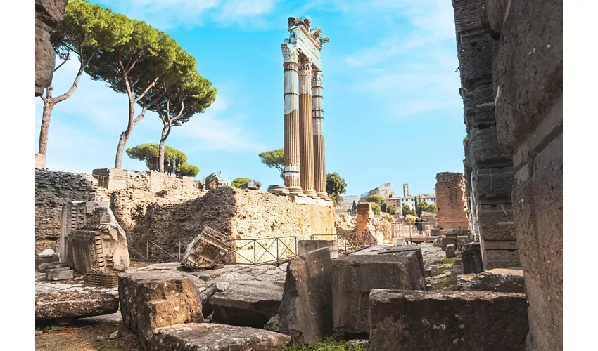 Colosseo, Foro Romano e Palatino + Guida Audio Digitale