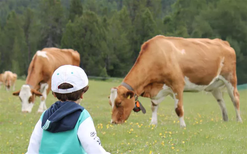 Auf zum Bauernhof, in die Schule des Geschmacks
