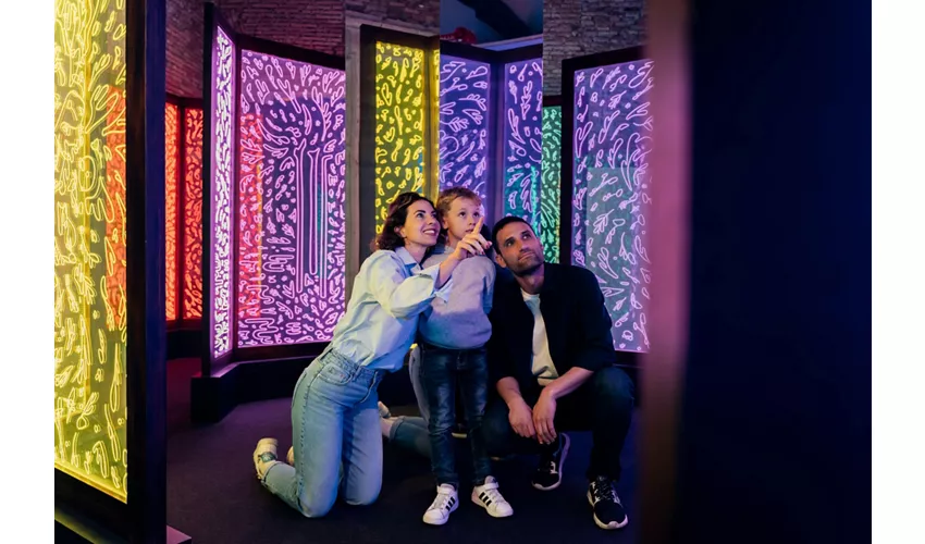 IKONO Roma: Immersive Experience