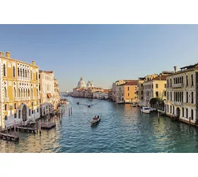 Venice Grand Canal: Guided Boat Tour for Small Group