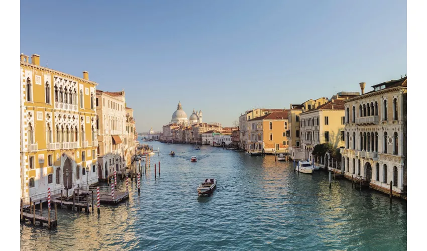 Venice Grand Canal: Guided Boat Tour for Small Group