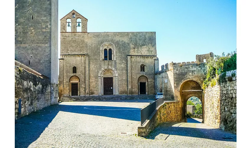Tarquinia: Entrada + Traslado de ida y vuelta desde Civitavecchia