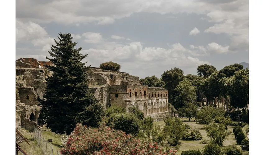 Pompeya: Entrada + Comida y Cata de Vinos en el Vesubio + Viaje de ida y vuelta desde Roma