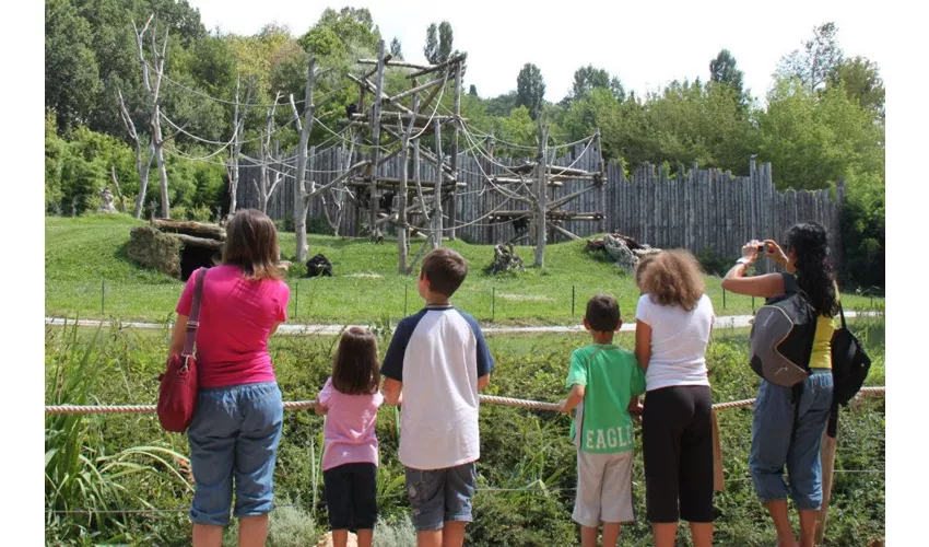 Parco Natura Viva: Biglietto a data aperta