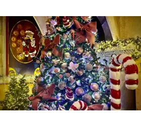 Rom MagicLand: Magic Christmas Eintrittskarte