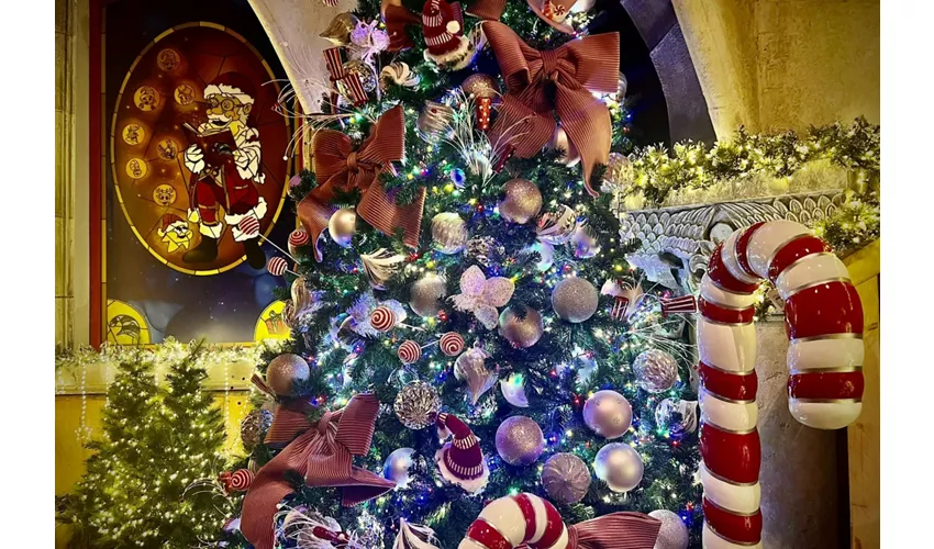 Rom MagicLand: Magic Christmas Eintrittskarte