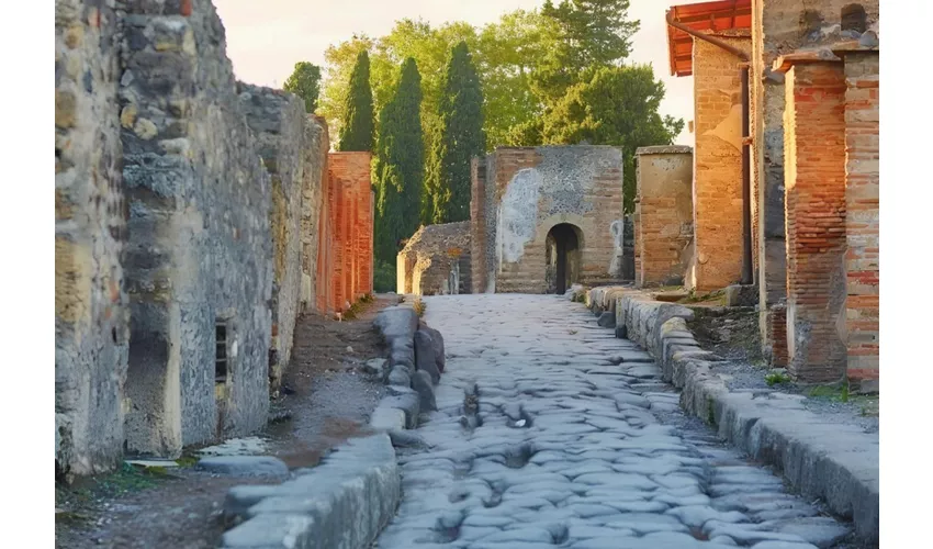 Pompei: Gita guidata di un giorno da Roma + pranzo