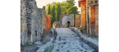 Pompei: Gita guidata di un giorno da Roma + pranzo