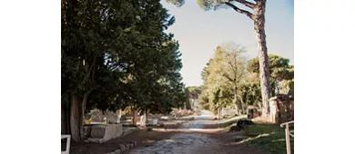 Ostia Antica Archaeological Park: Entry + One-Way Shuttle Service