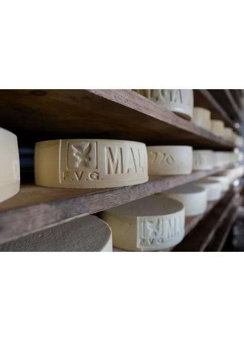 formaggi-friuli-venezia-giulia