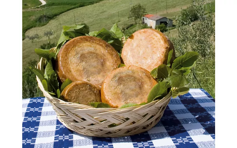 Formaggi di carattere e pasta di casa