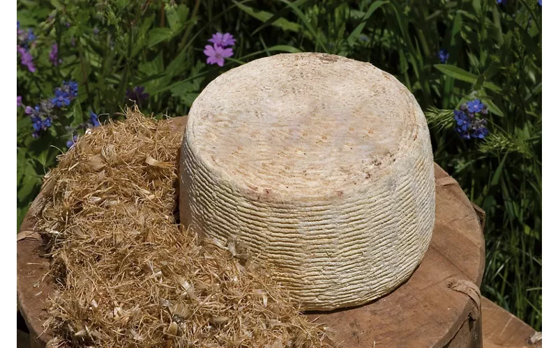 Formaggi di carattere e pasta di casa