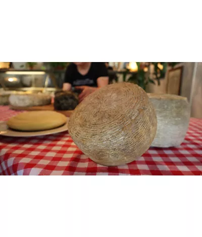 Abruzzo, guardian of cheeses that tell the story of the region
