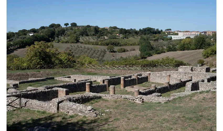 Progetto senza titolo - 1