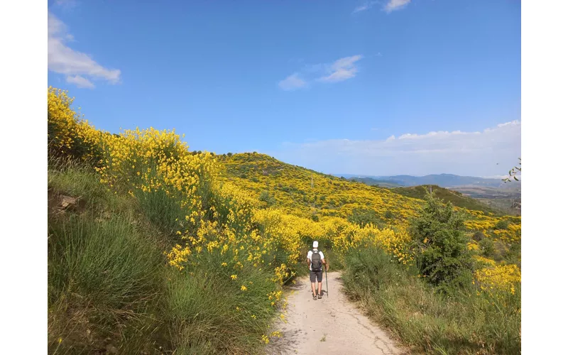 Cammini storico-naturalistici