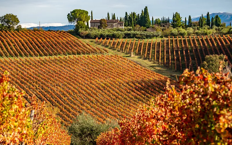 Montefalco und die Aromen des umbrischen Waldes