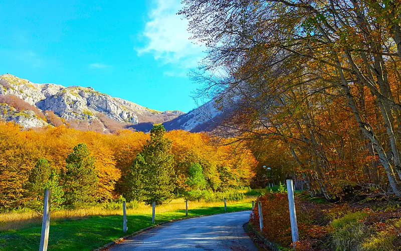 Les saveurs authentiques et enveloppantes des Abruzzes en automne