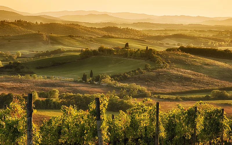 Automne dans le Chianti : saveurs authentiques du cœur de la Toscane