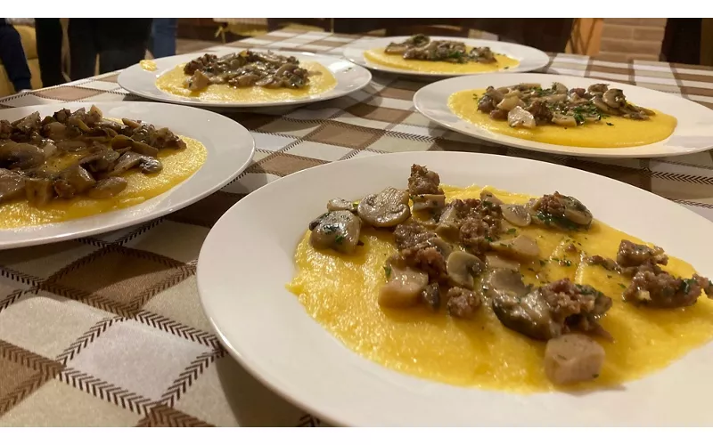 Pesaro and Urbino: grilled polenta and the truffles of Montefeltro