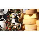 “Gemona, formaggio... e dintorni" 2025 