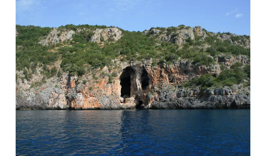 Area Marina Protetta Costa degli Infreschi e della Masseta