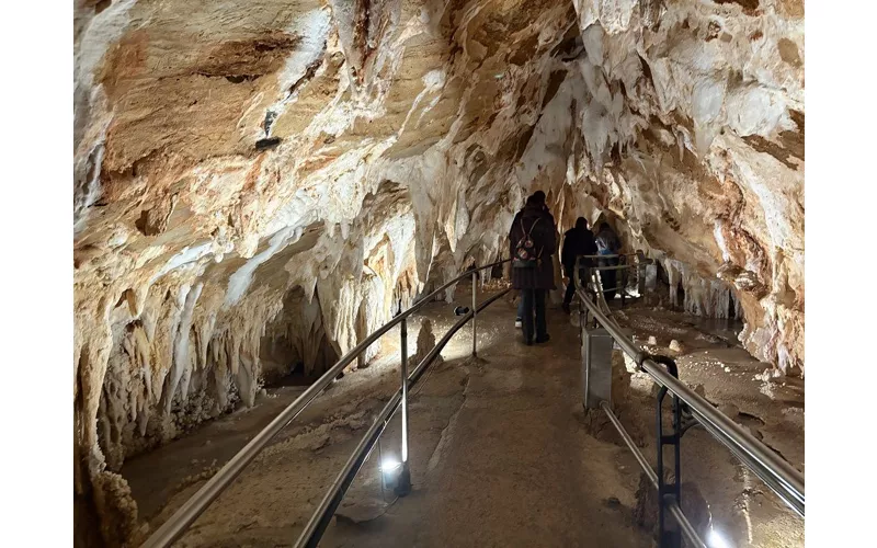 La famiglia preistorica e il cane: la scoperta straordinaria