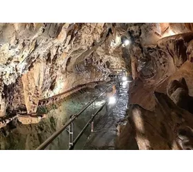 Toirano Caves: A journey into prehistory among humans and dogs