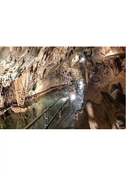 Grotte di Toirano: un viaggio nella preistoria tra uomini e cani