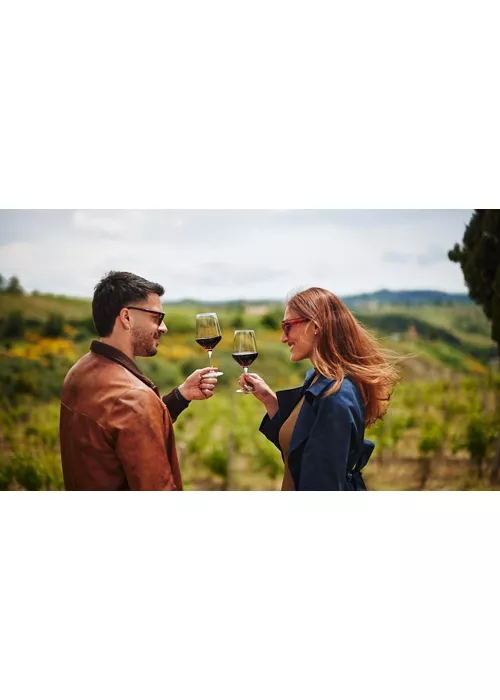 Vinhos da região de Marche: uma viagem para os amantes da boa bebida e dos passeios fora de portas