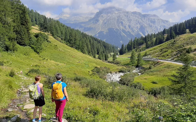 Il cammino della Via Romeo Germanica