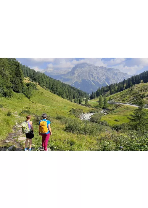 Il cammino della Via Romeo Germanica