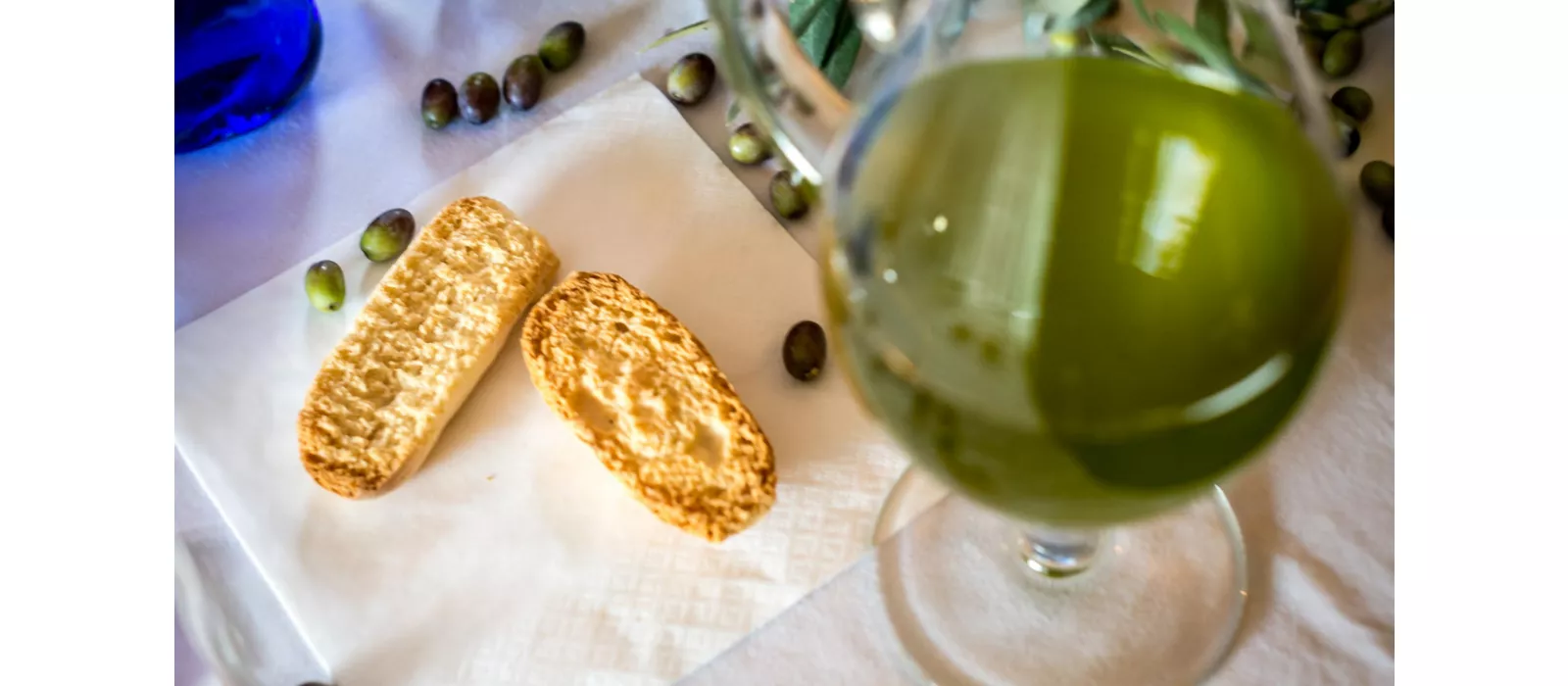  Oil and territory: a journey through the flavours and identity of the Marche region