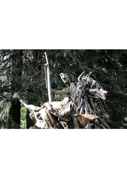 Bologna Montana Art Trail - Itinerario tra arte e natura 