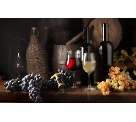 Wines of Southern Sicily: itinerary among the island's finest DOCs 