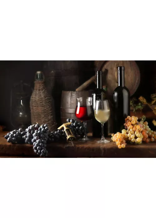 Wines of Southern Sicily: itinerary among the island's finest DOCs 