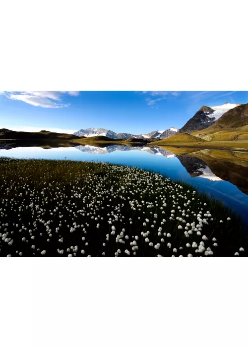 Gran Paradiso Experience: three days in the Gran Paradiso National Park