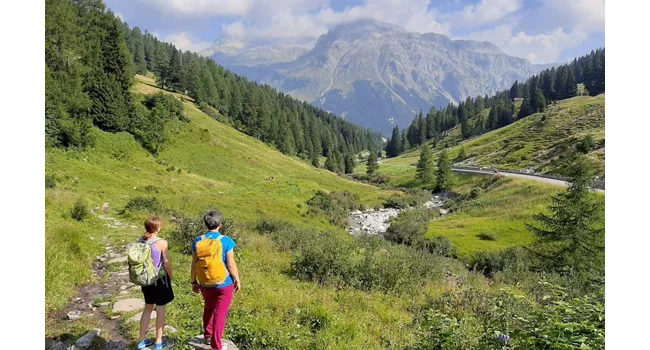 Der Wanderweg der Via Romea Germanica