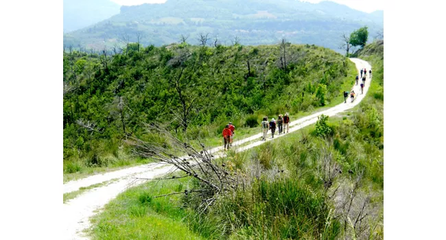 El Camino Franciscano de las Marcas