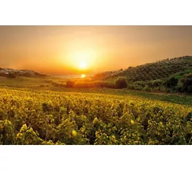 Alto Marchesato Crotonese: between history, nature and culture