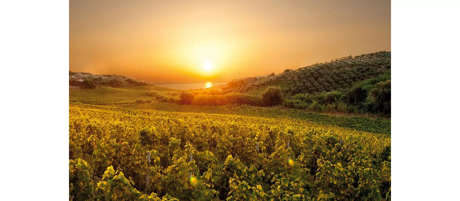 Alto Marchesato Crotonese: between history, nature and culture